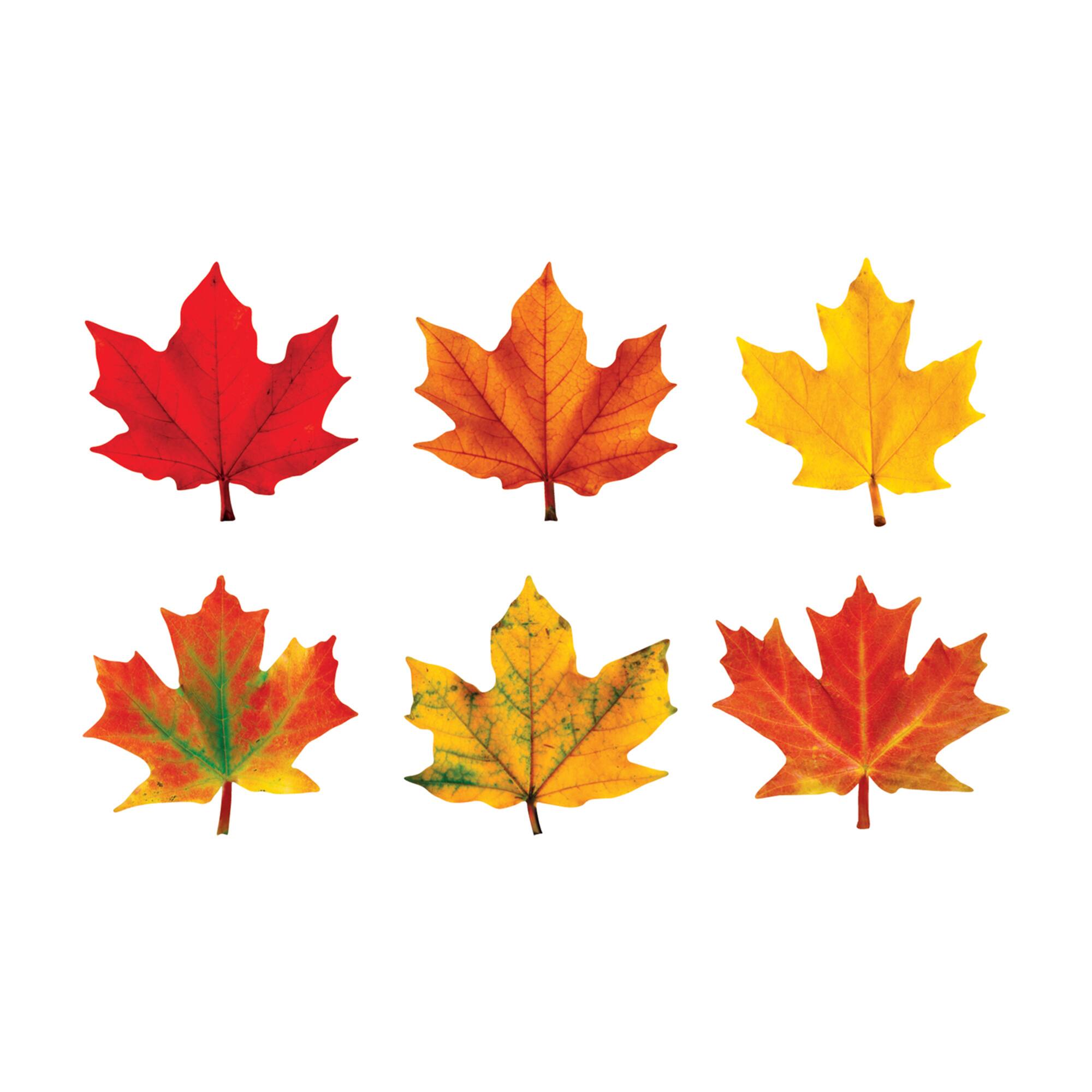 TREND Enterprises® Maple leaves classic accents® Variety Pack, 3 Packs of 108